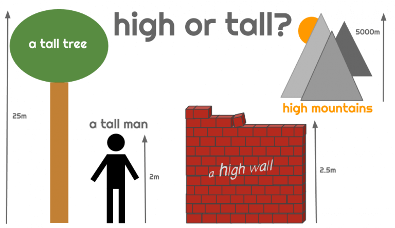 high-vs.-tall